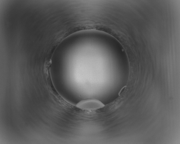 X0000073990768200608211348