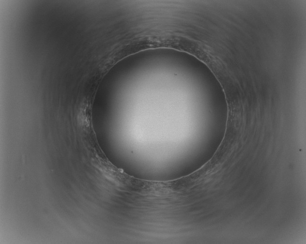 X0000073990770200608211347