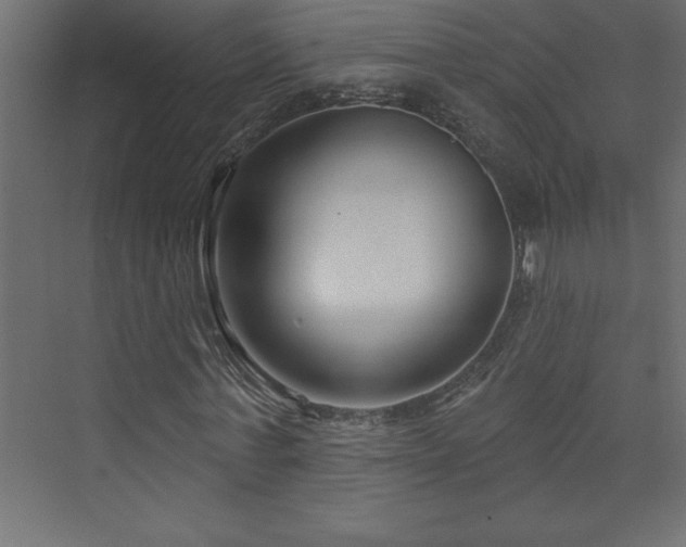 X0000073990771200608211347