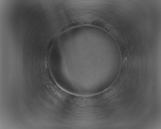 X0000073990772200608211347