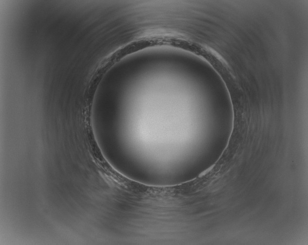 X0000073990775200608211347