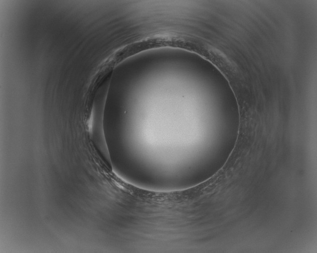 X0000073990776200608211347