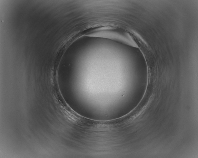 X0000073990777200608211347