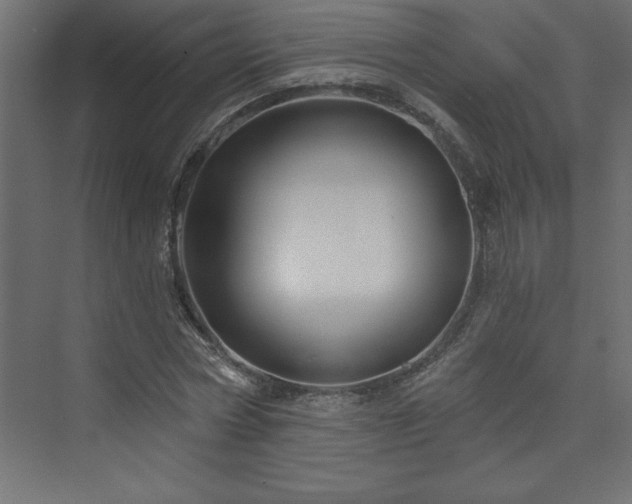 X0000073990778200608211347