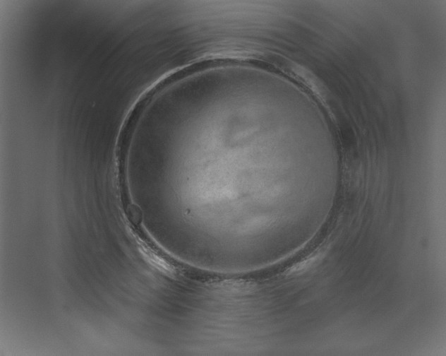 X0000073990779200608211347