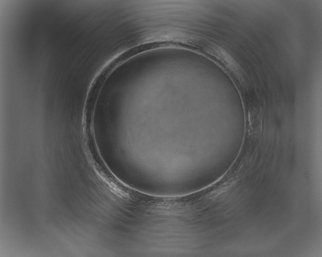 X0000073990780200608211347