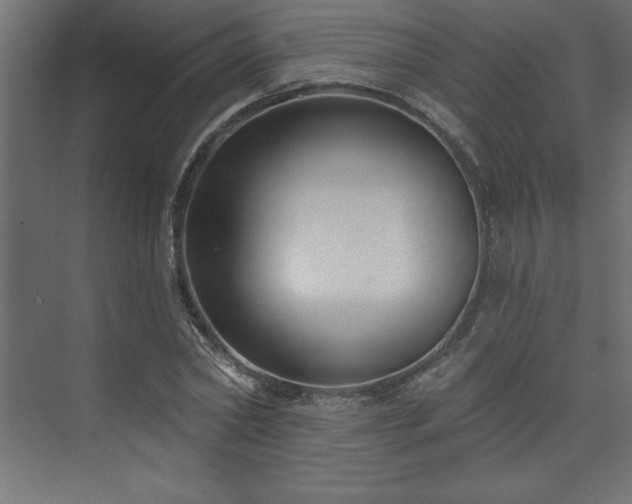 X0000073990782200608211347