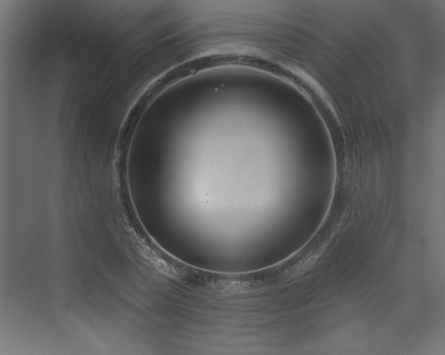 X0000073990783200608211347