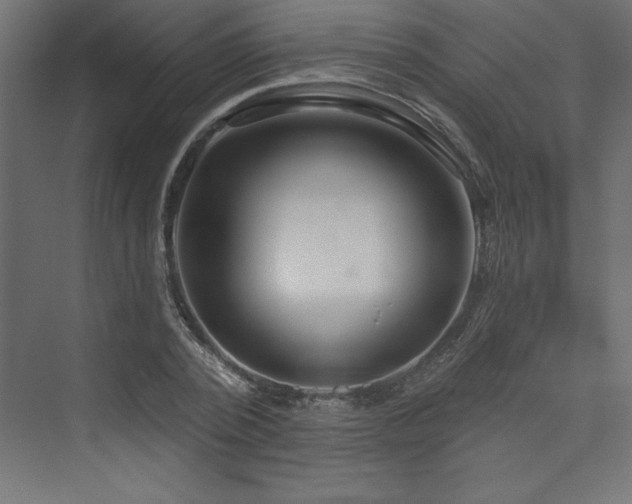 X0000073990784200608211347