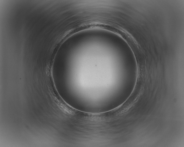 X0000073990785200608211347