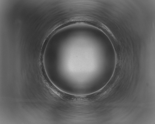 X0000073990786200608211347