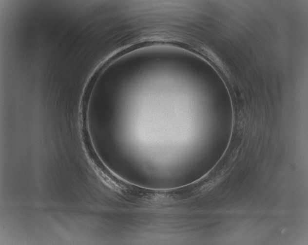 X0000073990787200608211347