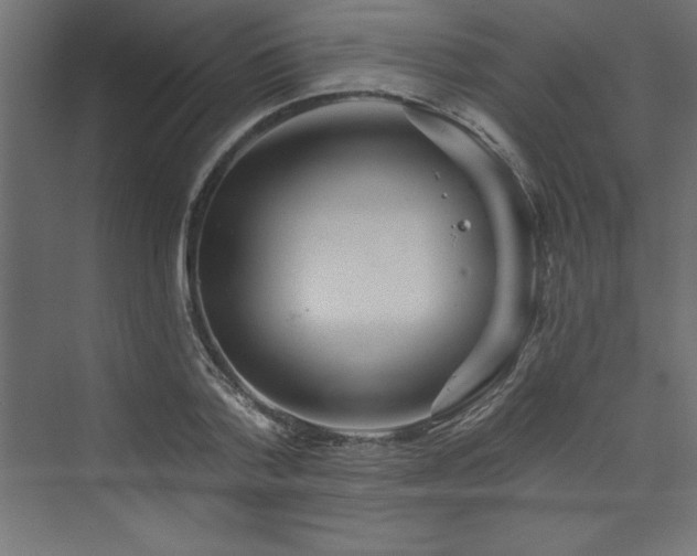 X0000073990788200608211347