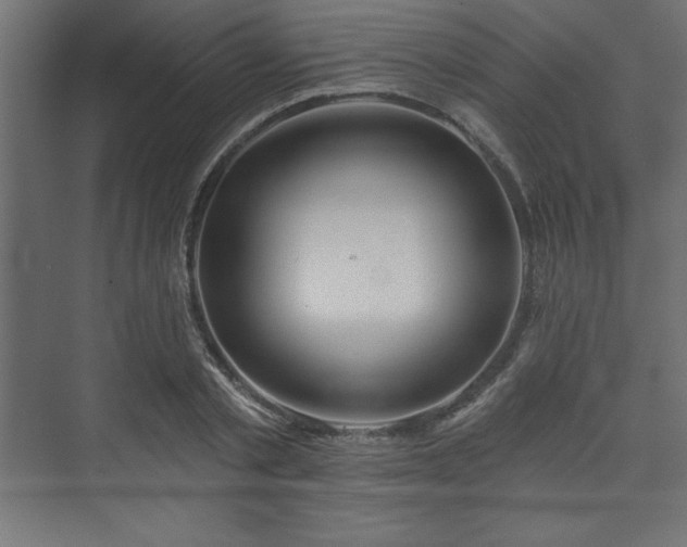 X0000073990789200608211347