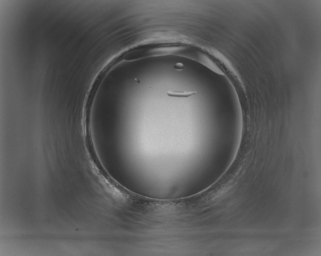 X0000073990791200608211347