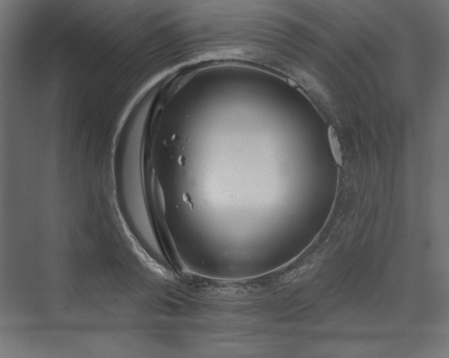 X0000073990792200608211347