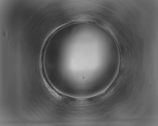 X0000073990795200608211346