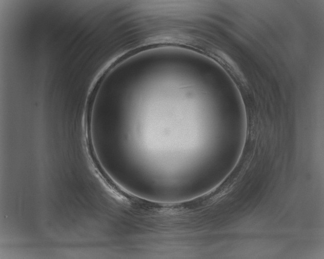 X0000073990796200608211346