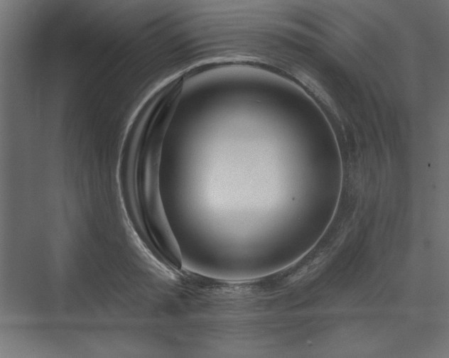 X0000073990797200608211346