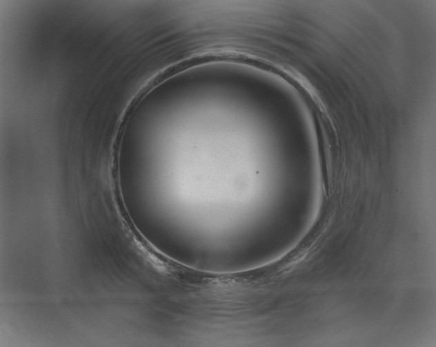 X0000073990799200608211346