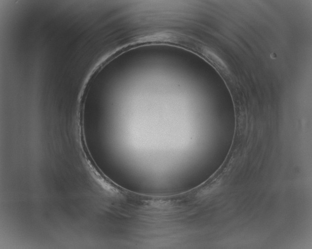 X0000073990800200608211346