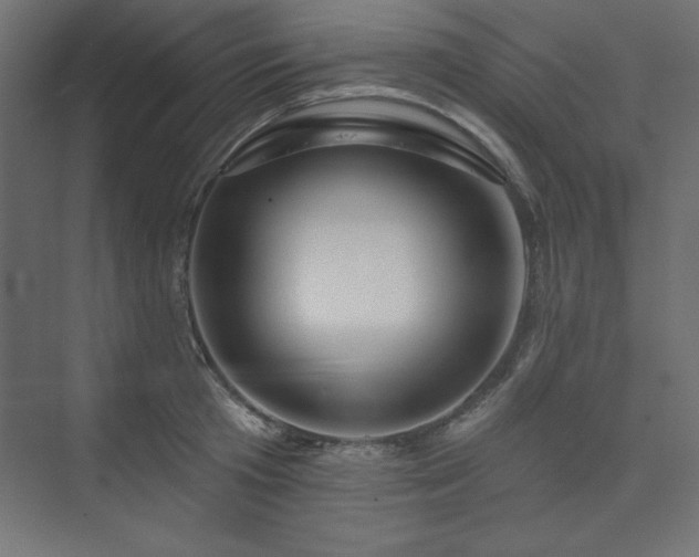 X0000073990801200608211346