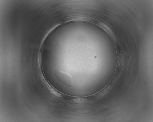 X0000073990804200608211346