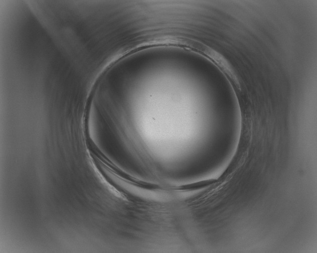 X0000073990805200608211346