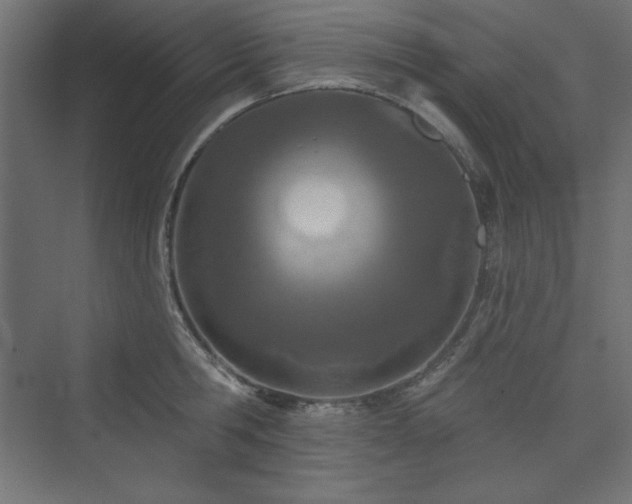 X0000073990806200608211346