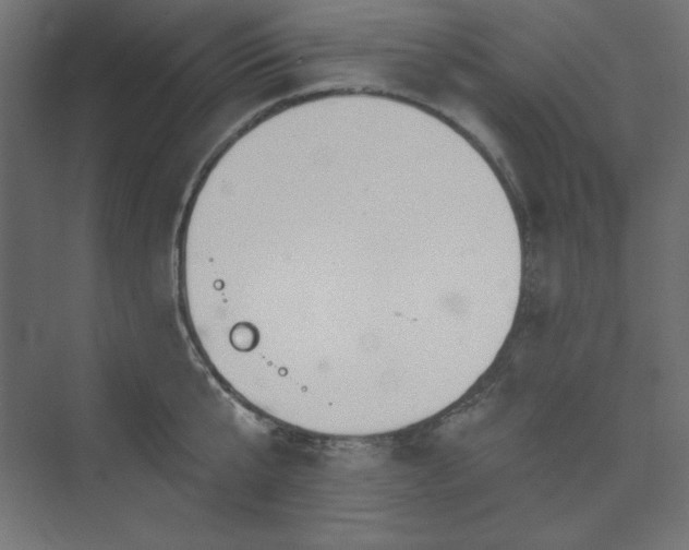 X0000073990807200608211346