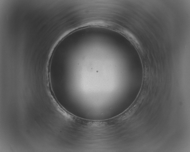 X0000073990808200608211346