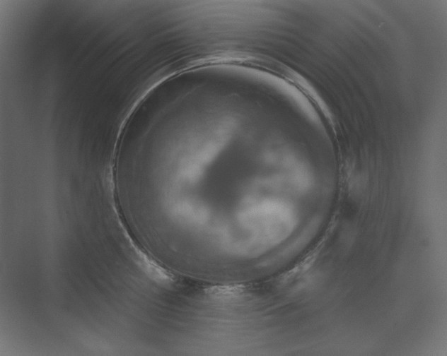 X0000073990810200608211346