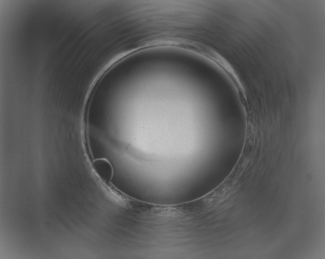 X0000073990811200608211346