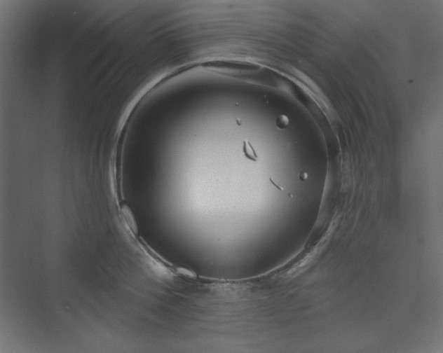 X0000073990812200608211346