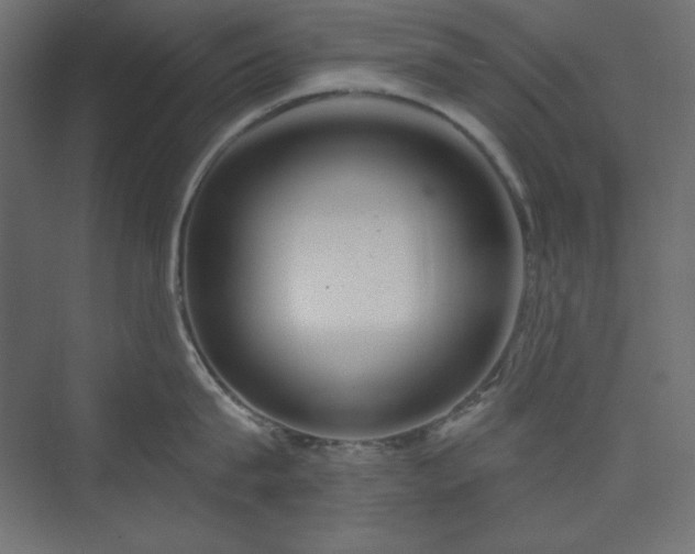 X0000073990815200608211346