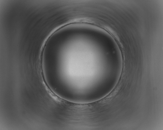 X0000073990816200608211346