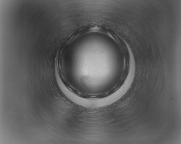 X0000073990818200608211345