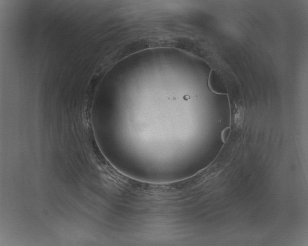 X0000073990819200608211345