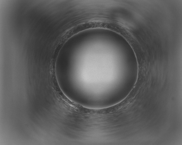 X0000073990821200608211345