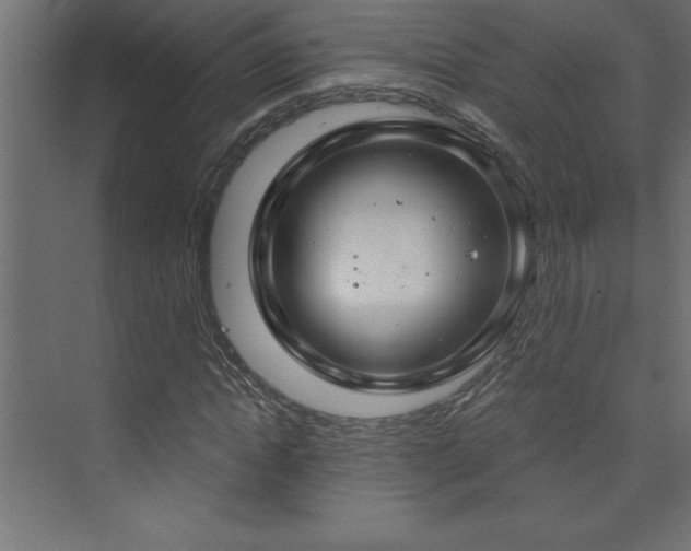 X0000073990822200608211345