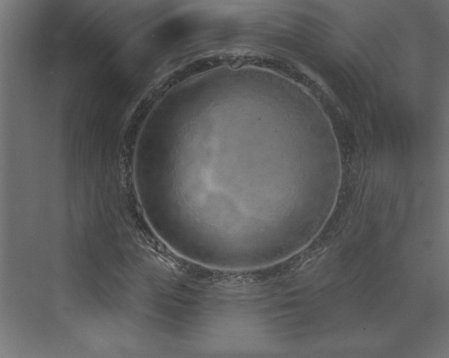 X0000073990823200608211345