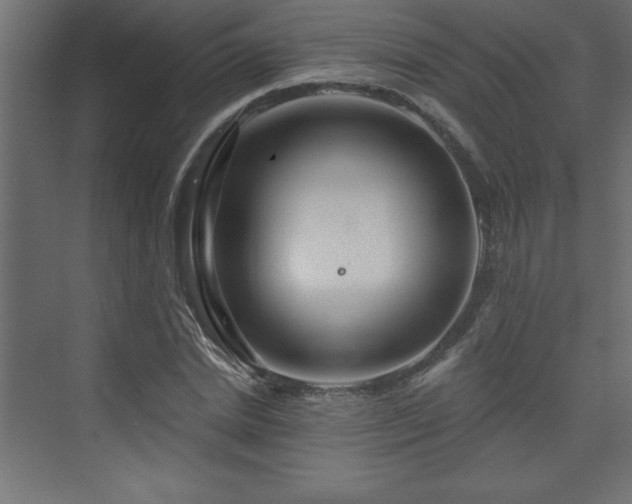 X0000073990830200608211346