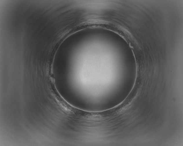 X0000073990833200608211346