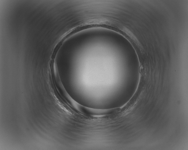 X0000073990834200608211346