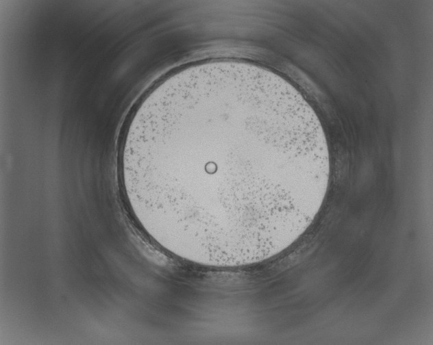 X0000073990836200608211346