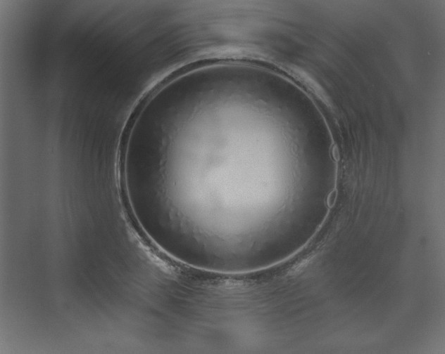 X0000073990839200608211346