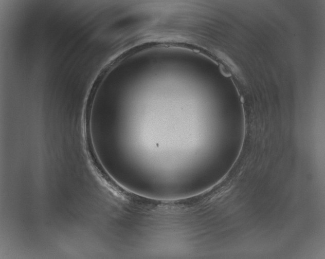 X0000073990840200608211346