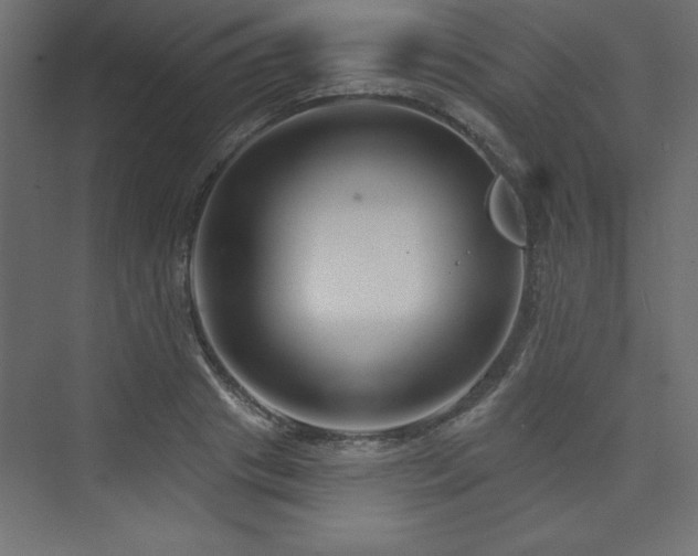 X0000073990841200608211346