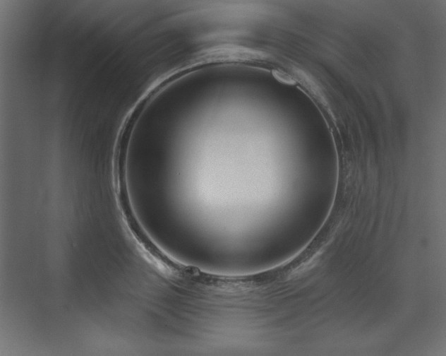 X0000073990843200608211346