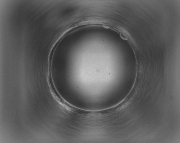 X0000073990844200608211346